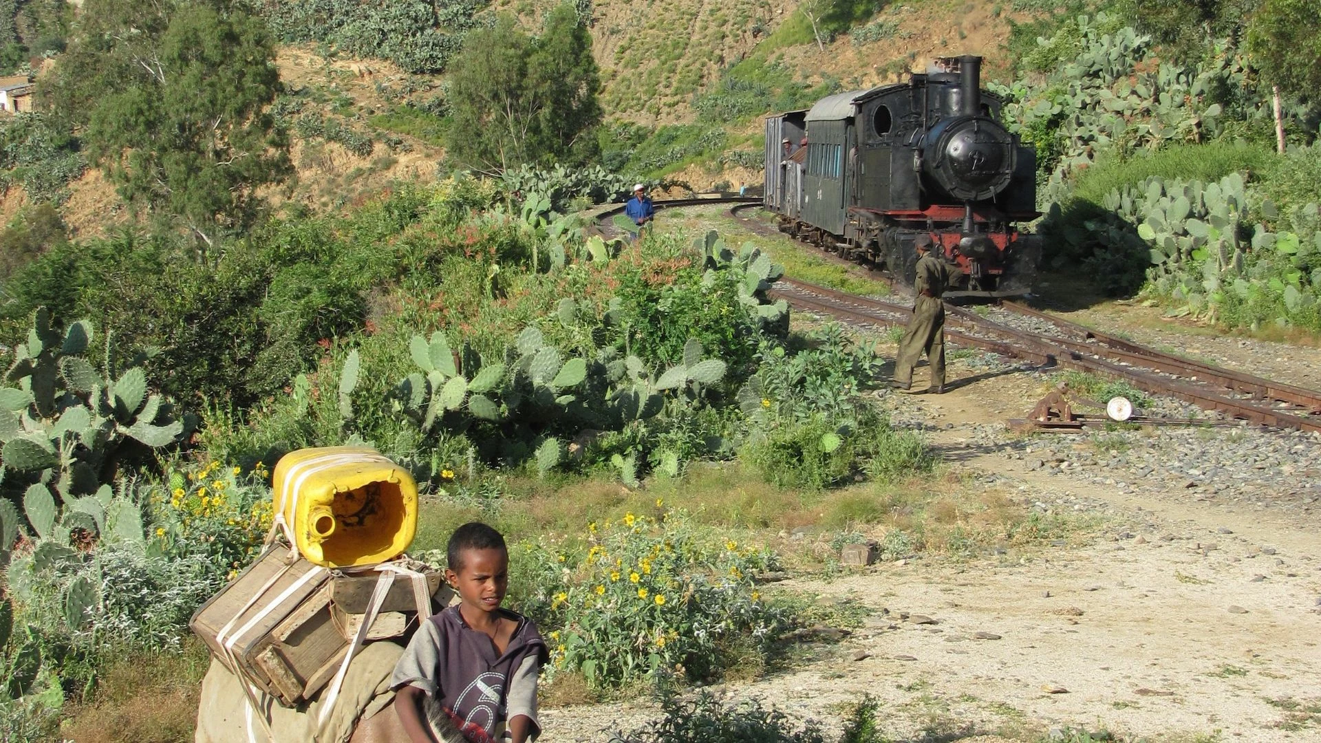 Eritrea e le celebrazioni del Timkat